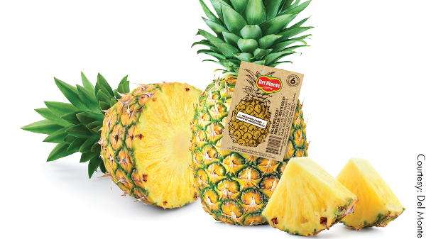 DM pineapple tags