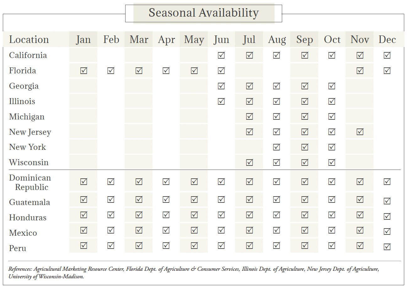 Eggplant Seasonal Availability Chart