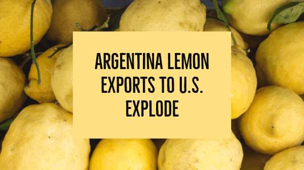 argentina lemon 1-16-20