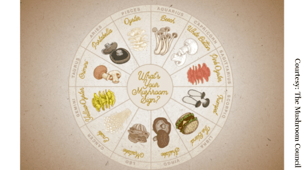 mushroom zodiac
