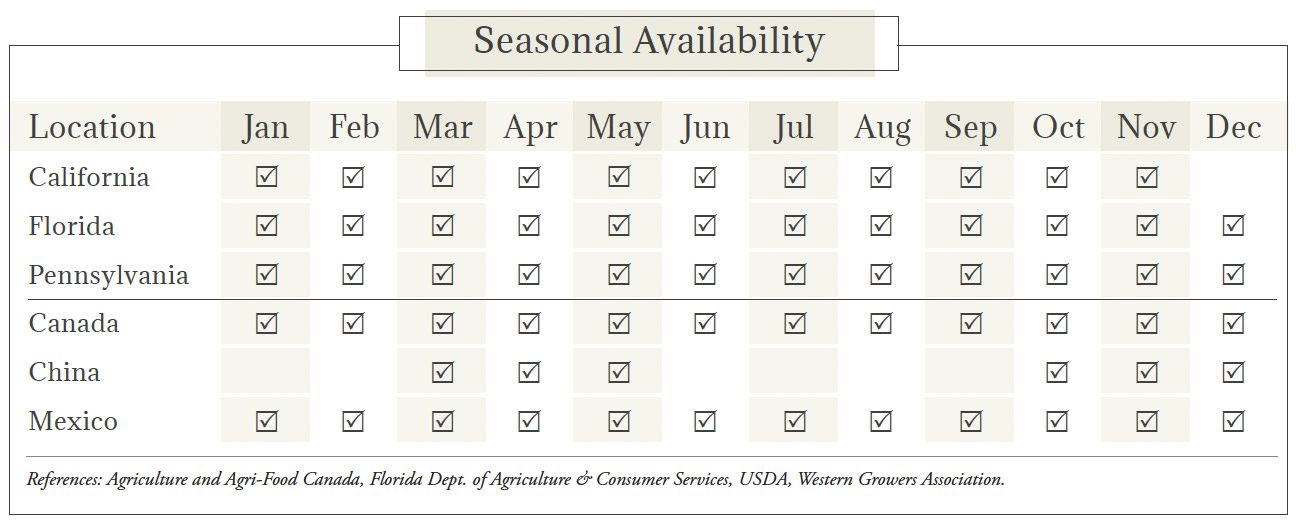 Mushrooms Seasonal Availability Chart
