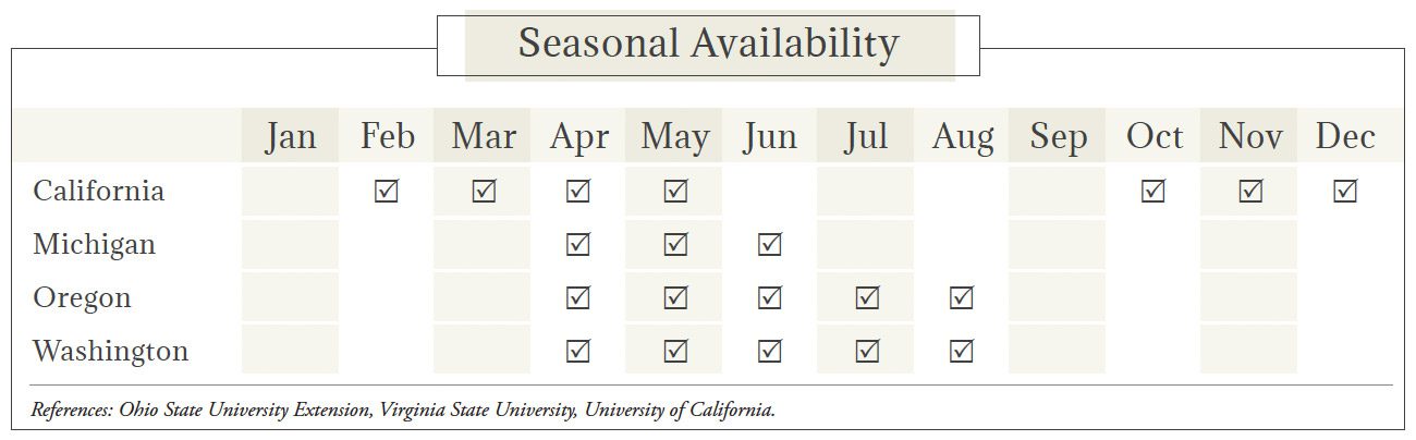 Rhubarb Seasonal Availability Chart