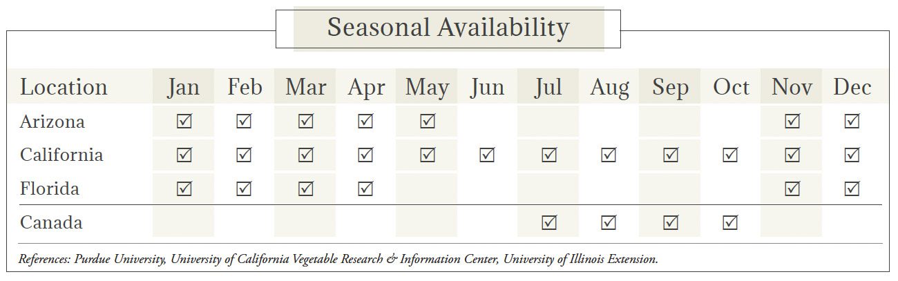 Romaine Lettuce Seasonal Availability Chart