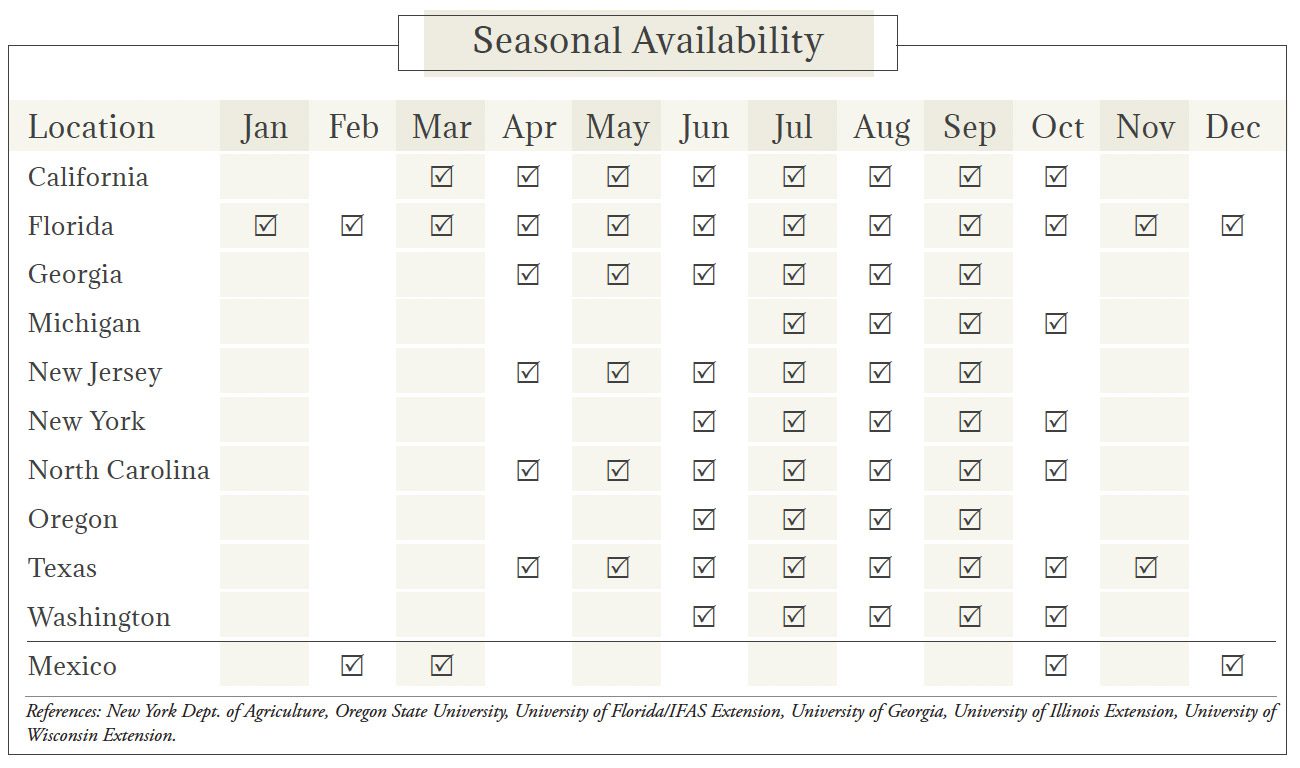 Zucchini Seasonal Availability Chart