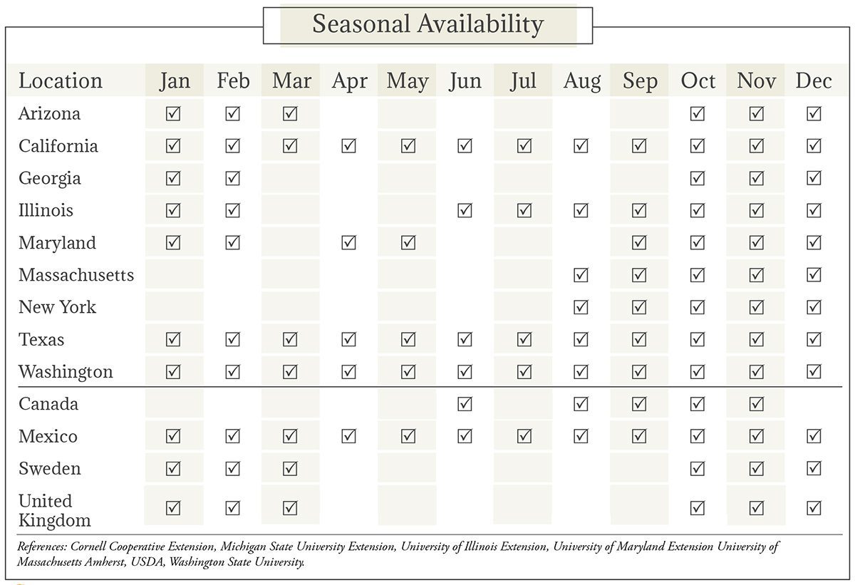Raspberries & Blackberries Seasonal Availability Chart