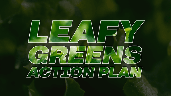 leafy greens action plan – BB