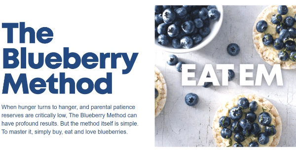 blueberry method