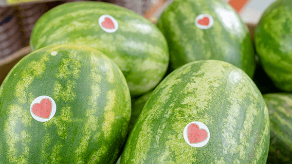 watermelon promotions