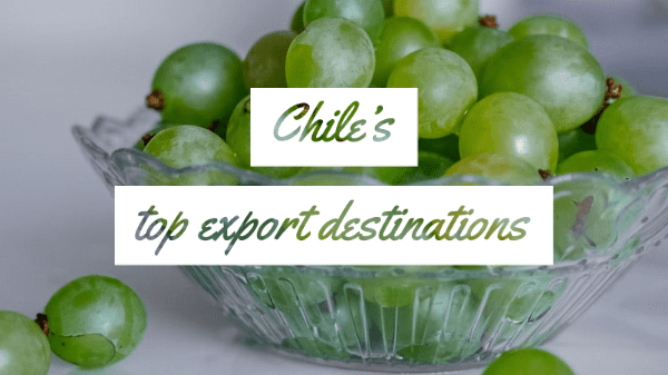 chile grape export