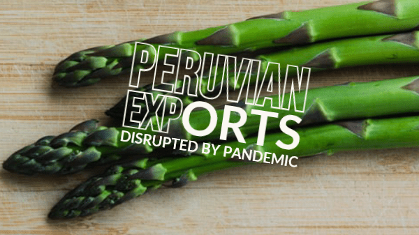 peru asparagus exports 5-29-20