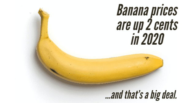 banana prices
