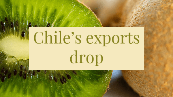 chile kiwi drop