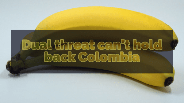 colombia banana 7-17-20