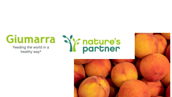 Giumarra Logo + Peaches