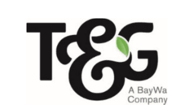 T&G Final Logo