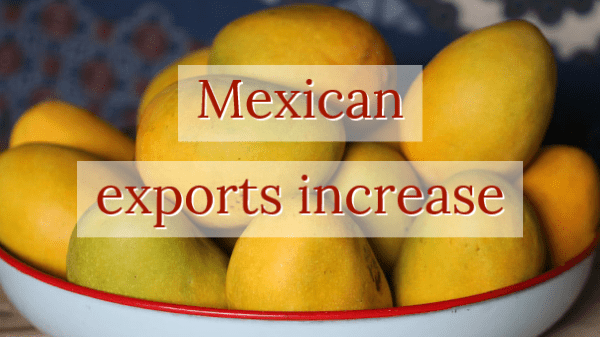 mexico mango exports 8-21-20
