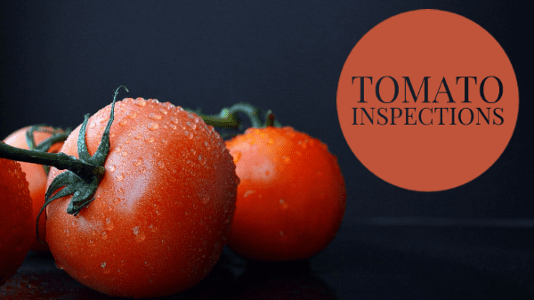 tomato inspections