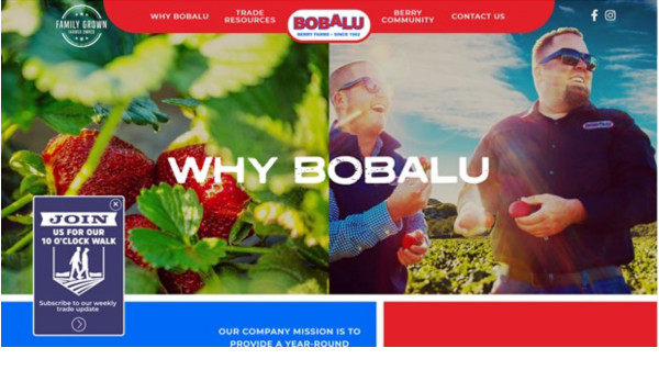 Bobalu Berries Ad – Final