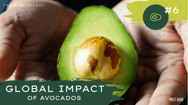 West Pak Global Impact of Avocados.final