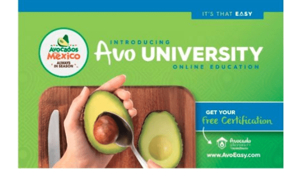avocado University Final