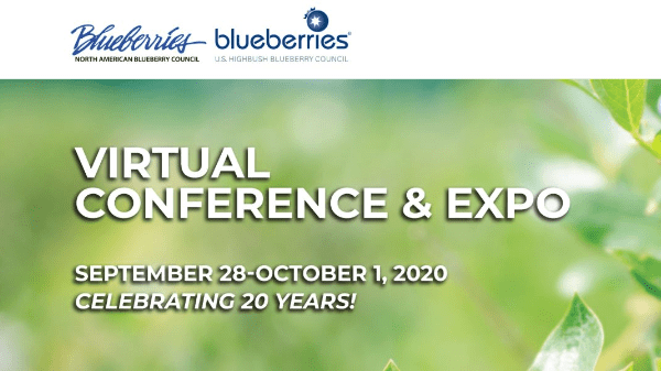 blueberry conf