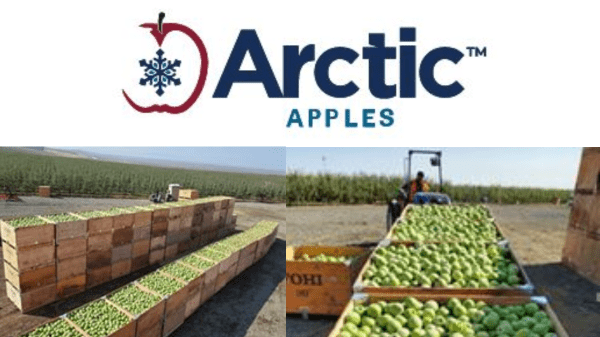Arctic Apples Logo Final
