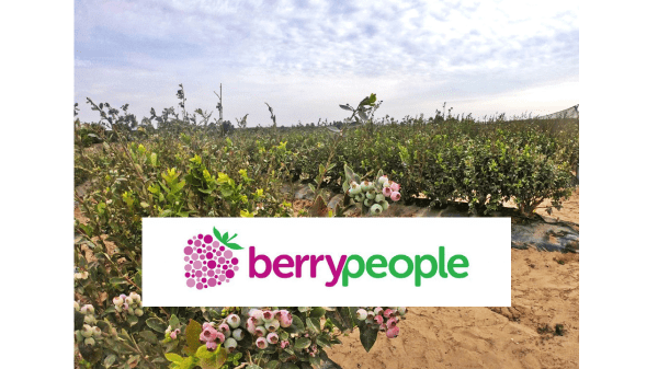 Berry People Final Logo