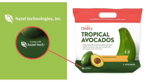 Hazel Tech Avocados – Final Logo 2