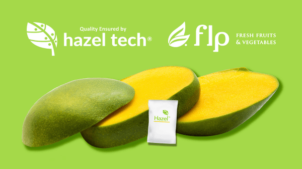 Hazel Tech- FLP Mango Final