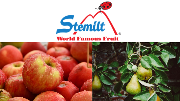 Stemilt Pear-Apple Final Logo 2