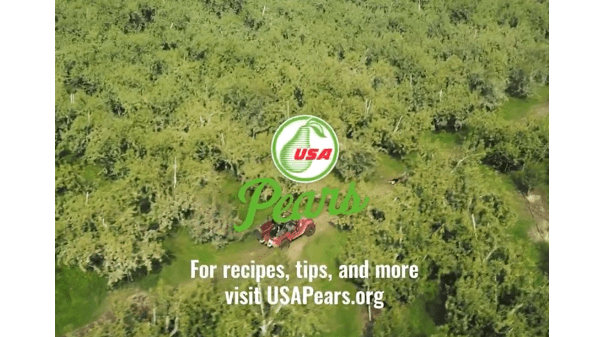 USA Pears Video Final