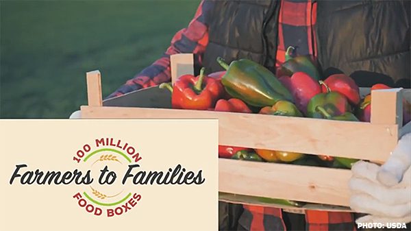 farmers to families food box – 1