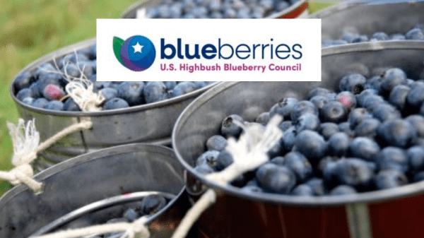 BLueberries – US Highbush Final Logo