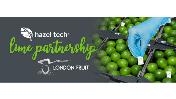 Hazel Tech – London Fruit Final