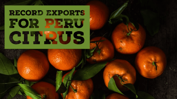peru citrus 11-6-20