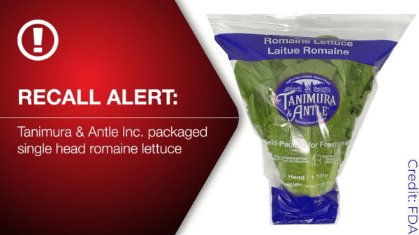 Recall alert for Tanimura & Antle Inc. packaged single head romaine lettuce.