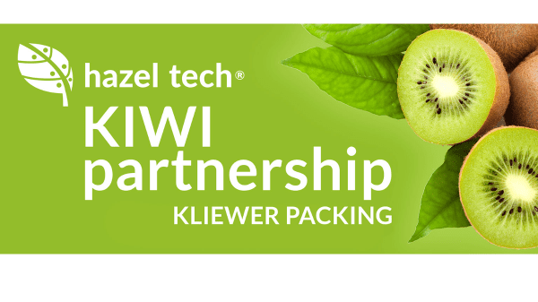 Hazel Tech Kiwi Final Logo