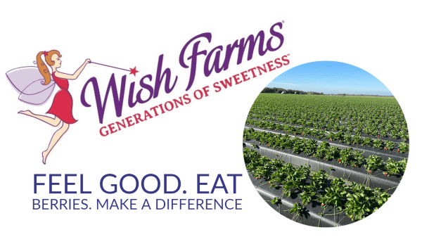 Wish Farms Logo Final