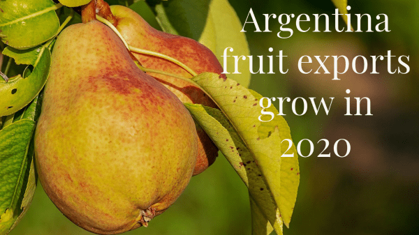 argentina exports 12-10-20