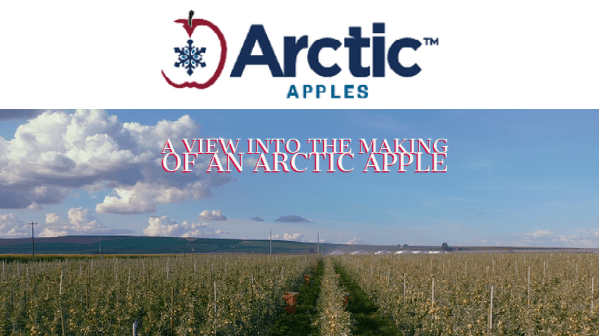 Arctic Apples Header Final