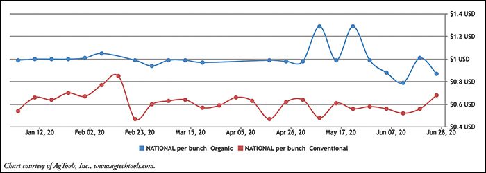 Green Onion Retail Pricing: Conventional & Organic Per Bunch Chart