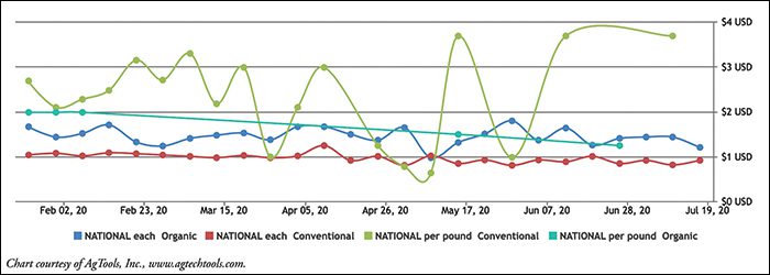 Mango Retail Pricing: Conventional & Organic Chart