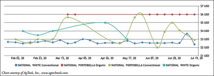 Mushroom Retail Pricing: Conventional & Organic Per Pound Chart