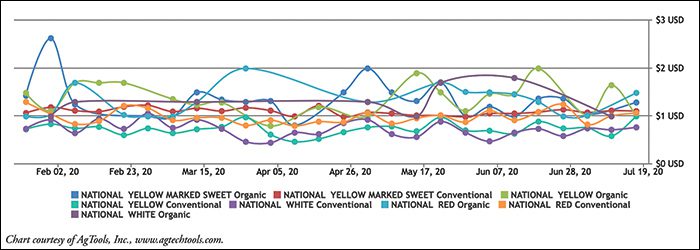 Onion Retail Pricing: Conventional & Organic Per Pound Chart
