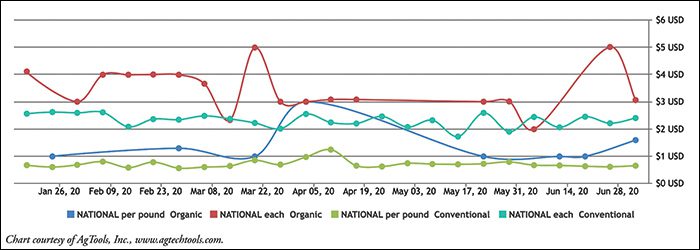 Pineapple Retail Pricing: Conventional & Organic Chart