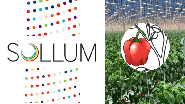 Sollum Technologies Final Header