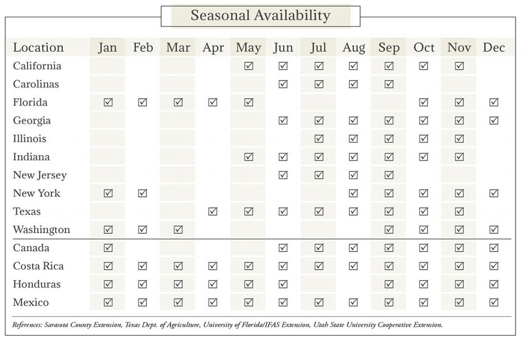 Squash Seasonal Availability Chart