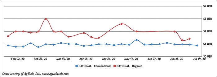 Sweet Potato Retail Pricing: Conventional & Organic Chart