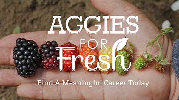 Aggies for fresh