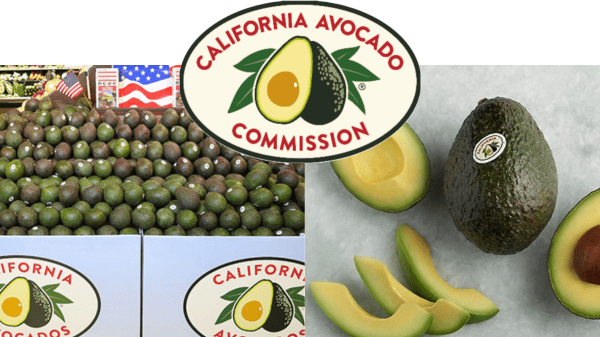 California Avocado Commission Final Header